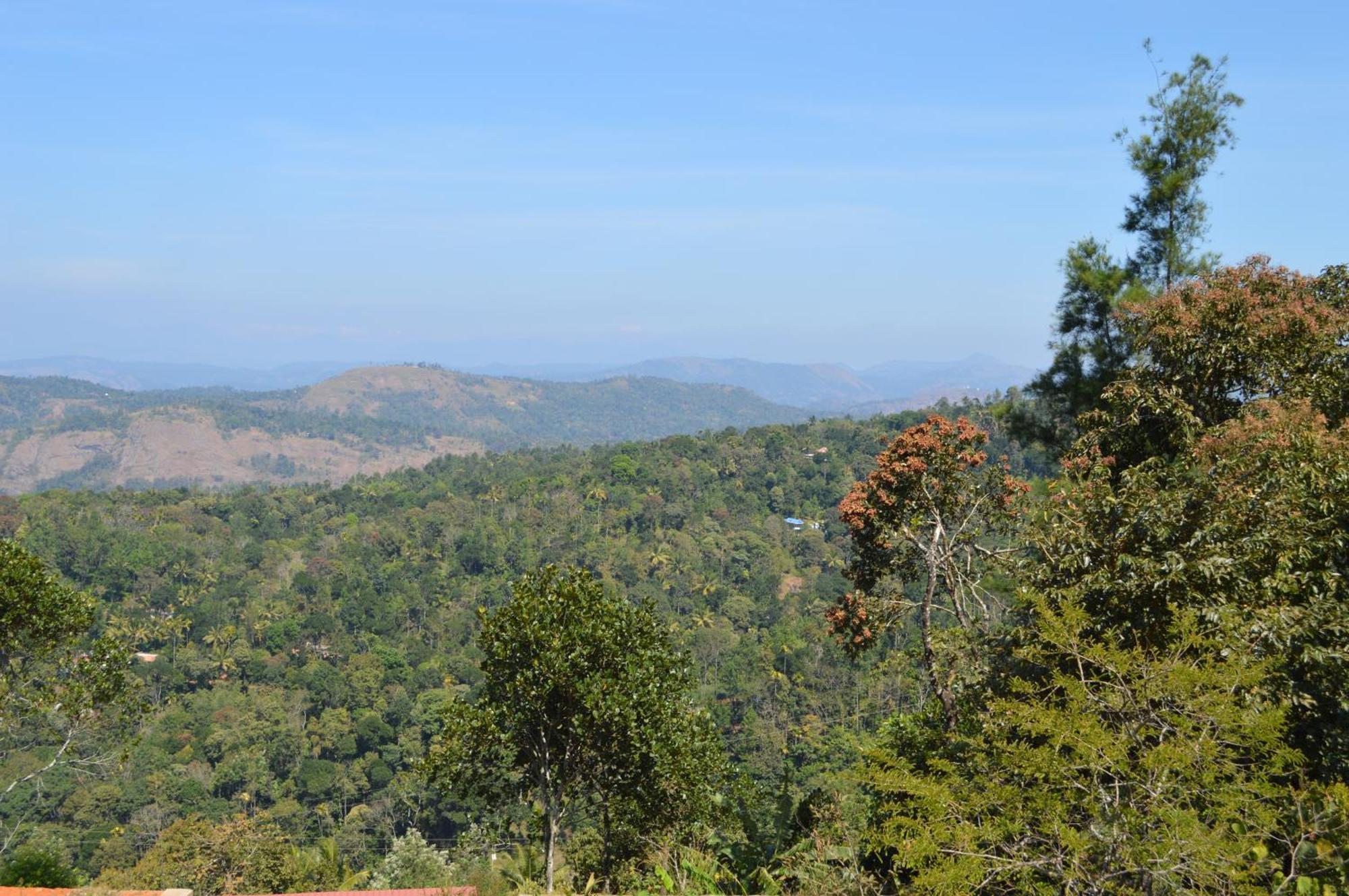 Ashramam Health Resort Kattappana 外观 照片